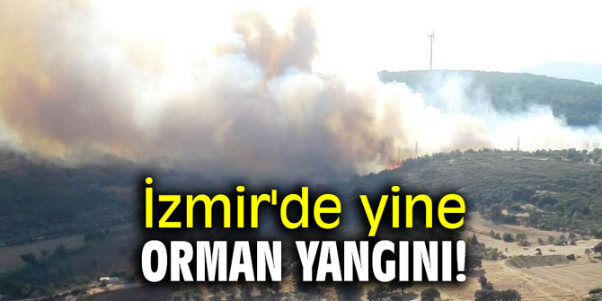 İzmir'de yine orman yangını!