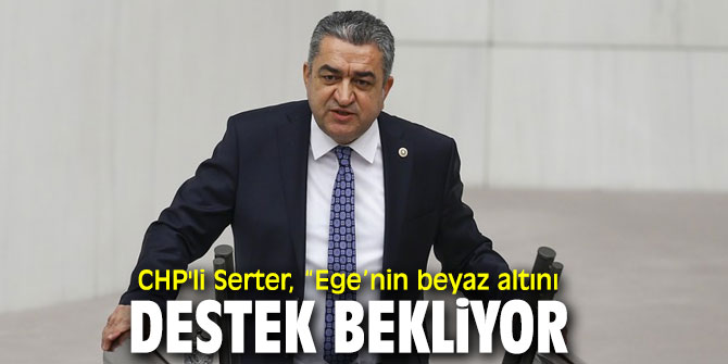 CHP'li Serter, 'Beyaz Altın yok ediliyor!'