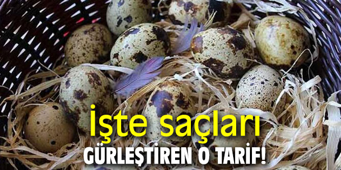 İşte saçları gürleştiren o tarif!