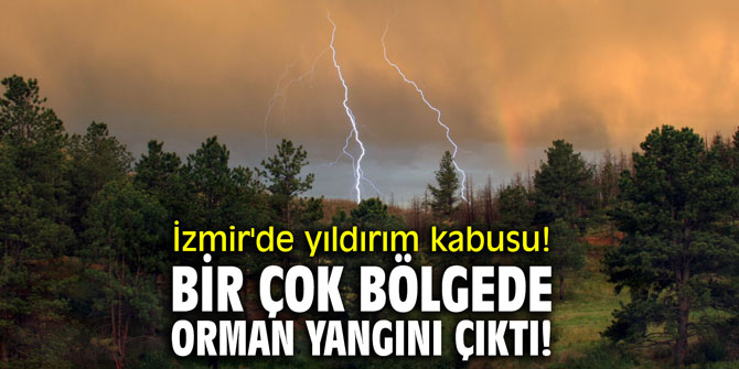 İzmir'de yıldırım kabusu! Bir çok bölgede noktada orman yangını çıktı!