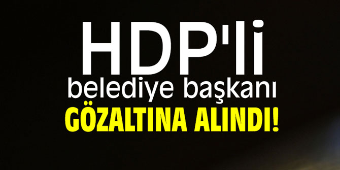 HDP'li belediye başkanı gözaltına alındı!