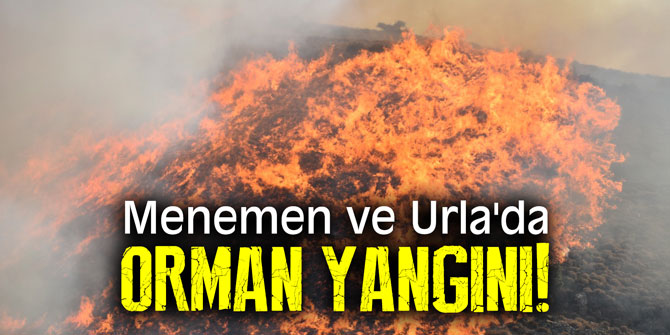 Menemen ve Urla'da orman yangını!