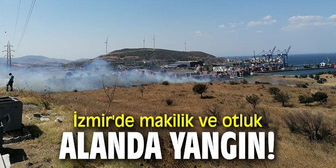 İzmir'de korkutan yangın!