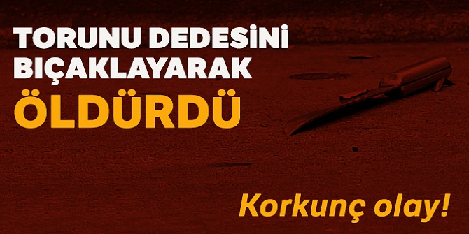 Dedesini bıçaklayarak öldürdü