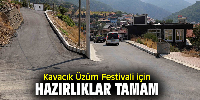 Kavacık Üzüm Festivali için hazırlıklar tamam