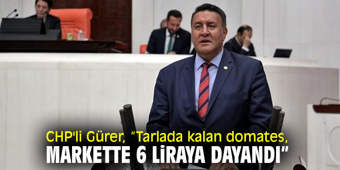CHP'li Gürer, domates çiftçisinin sorunlarını dinledi!