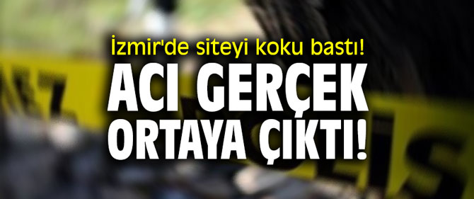 İzmir'de siteyi koku bastı! Acı gerçek ortaya çıktı!