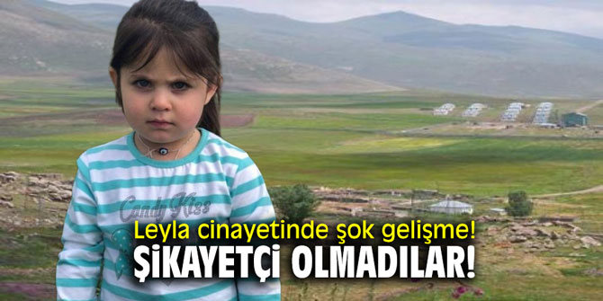 Leyla Aydemir cinayetinde şok gelişme! Şikayetçi olmadılar!