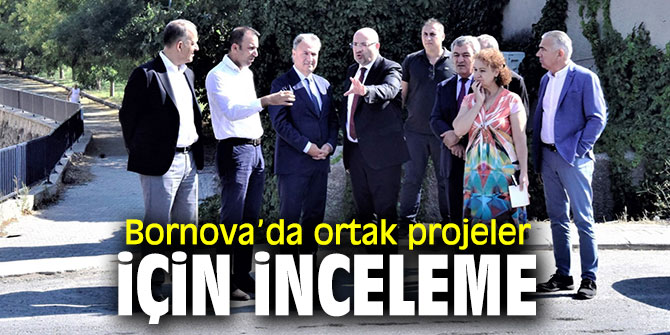 İduğ ve Gökçe'de ortak projeler için inceleme 