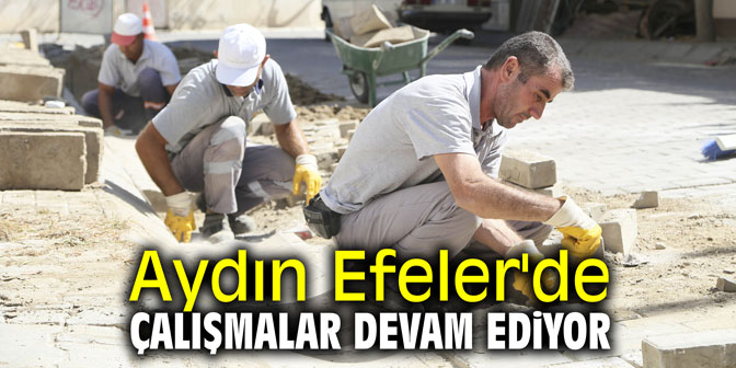 Aydın Efeler'de çalışmalar devam ediyor