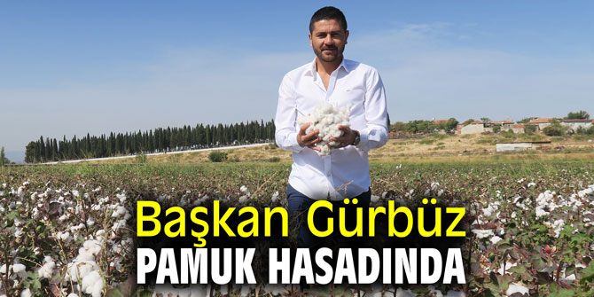 Başkan Gürbüz pamuk hasadına katıldı