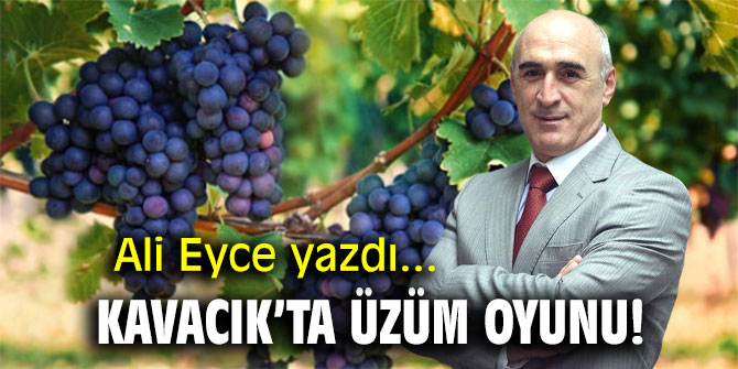 Kavacık’ta üzüm oyunu!