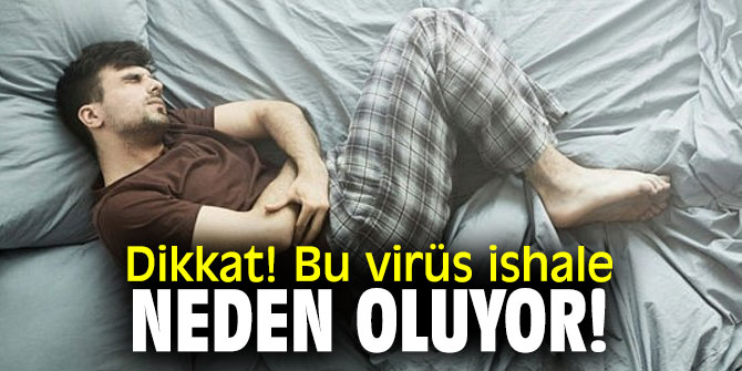Dikkat! Bu virüs ishale neden oluyor!