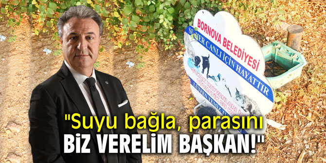 "Suyu bağla, parasını biz verelim Başkan!"