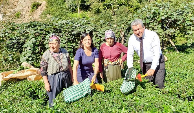 “Rize halkının “çayımıza dokunmayın”