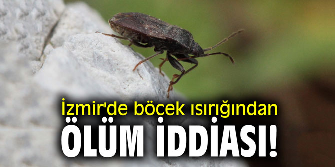 İzmir'de böcek ısırığından ölüm iddiası!