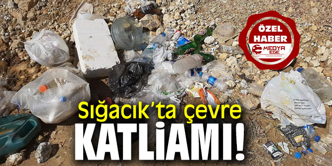 Sığacık’ta çevre katliamı!