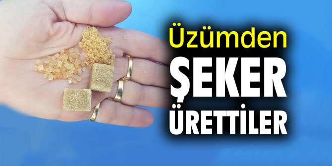 Üzümden şeker ürettiler