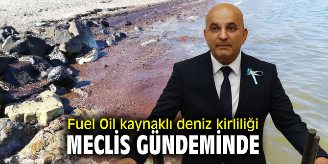Fuel Oil kaynaklı deniz kirliliği meclis gündeminde