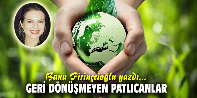 GERİ DÖNÜŞMEYEN PATLICANLAR