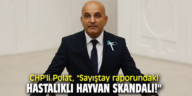 CHP'li Polat, ölen hayvanları Meclis gündemine taşıdı!