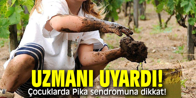 Uzmanı uyardı! Çocuklarda Pika sendromuna dikkat!