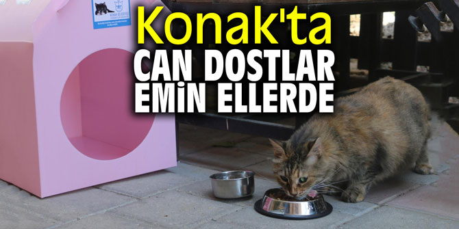 Konak'ta can dostlar emin ellerde