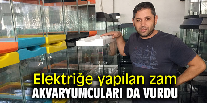 Elektriğe yapılan zam akvaryumcuları da vurdu