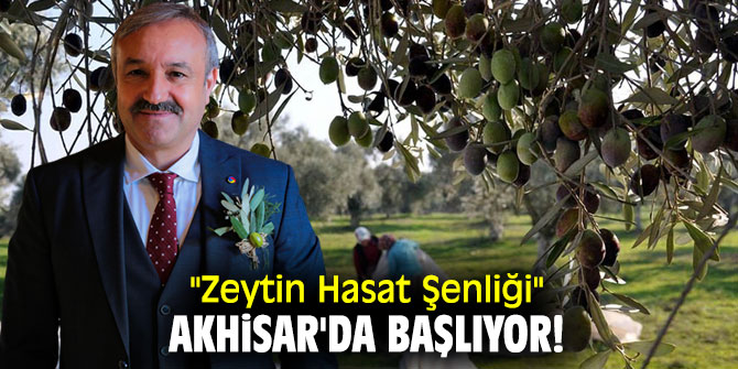 "Zeytin Hasat Şenliği", Akhisar'da başlıyor!