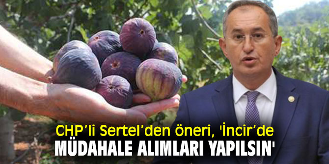 CHP’li Sertel, incir üreticilerinin sorunlarına dikkat çekti!