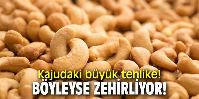 Kajudaki büyük tehlike! Böyleyse zehirliyor!