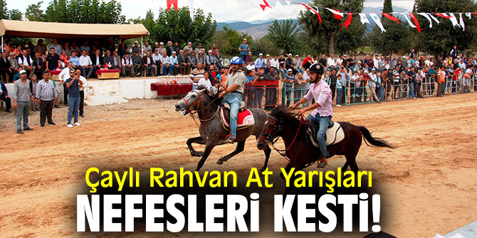 Çaylı Rahvan At Yarışları nefesleri kesti!