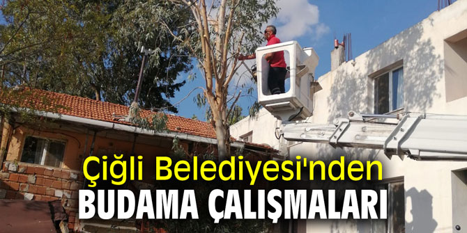 Çiğli Belediyesi'nden budama çalışmaları