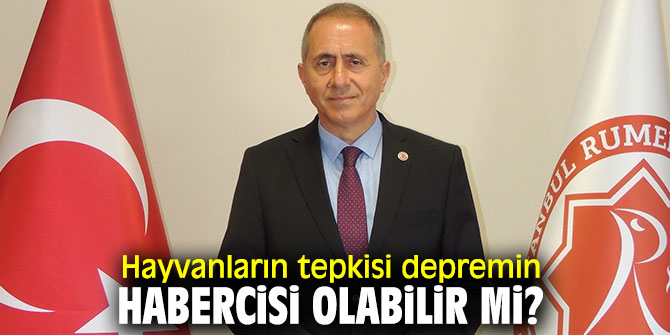 Uzmanı açıkladı! Hayvanların tepkisi depremin habercisi olabilir mi?