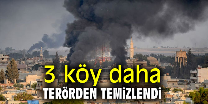 3 köy daha terörden temizlendi