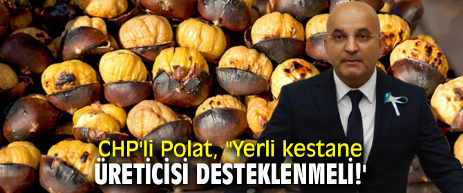 CHP'li Polat, kestane üreticilerinin sorunlarına dikkat çekti!