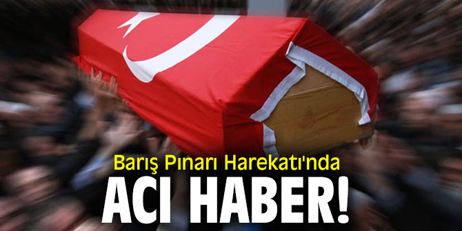 Barış Pınarı Harekatı'nda acı haber!
