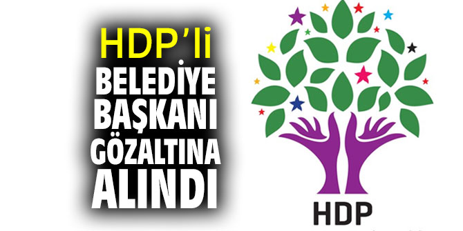 HDP’li başkana gözaltı!