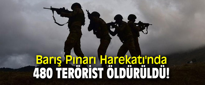 Barış Pınarı Harekatı'nda 480 terörist öldürüldü!