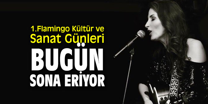 1.Flamingo Kültür ve Sanat Günleri bugün sona eriyor