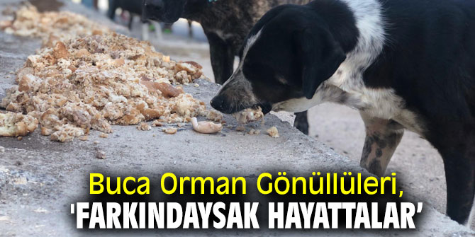 Buca Orman Gönüllüleri, 'Farkındaysak hayattalar’