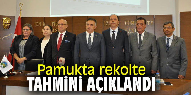 Ege Bölgesi pamuk rekolte tahmin çalışmaları tamamlandı
