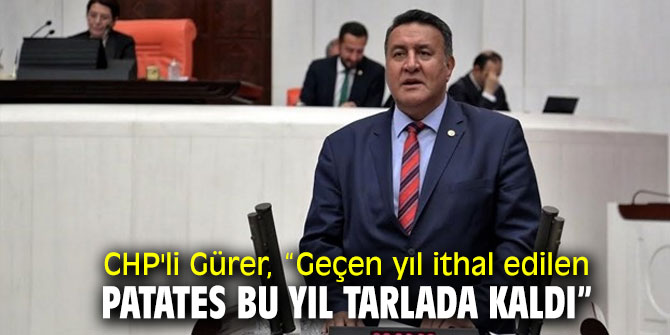 CHP'li Gürer, patates üreticisinin sorunlarını TBMM'ye taşıdı!