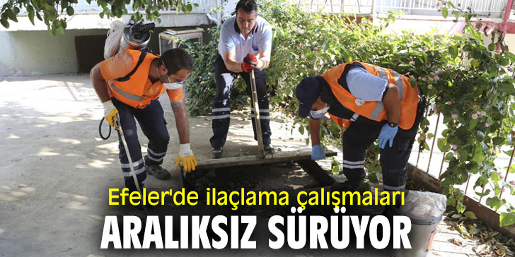 Efeler'de ilaçlama çalışmaları aralıksız sürüyor