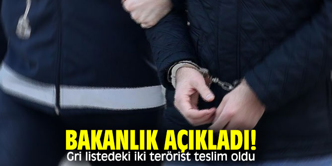 Bakanlık açıkladı! Gri listedeki iki terörist teslim oldu