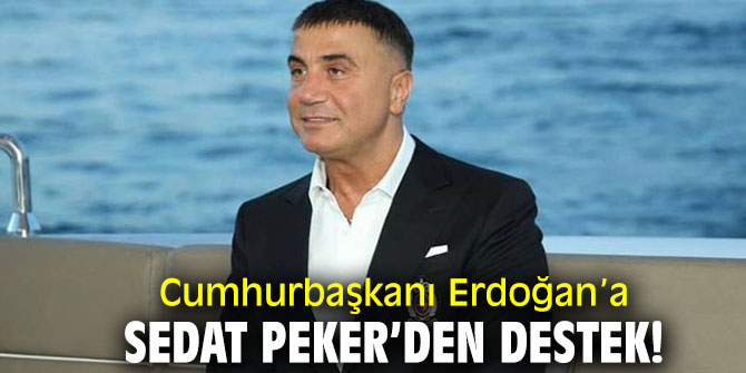 Sedat Peker Cumhurbaşkanı Erdoğan’a destek verdi