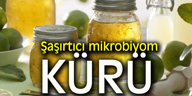 Şaşırtıcı mikrobiyom kürü