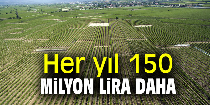 Her yıl 150 milyon lira daha
