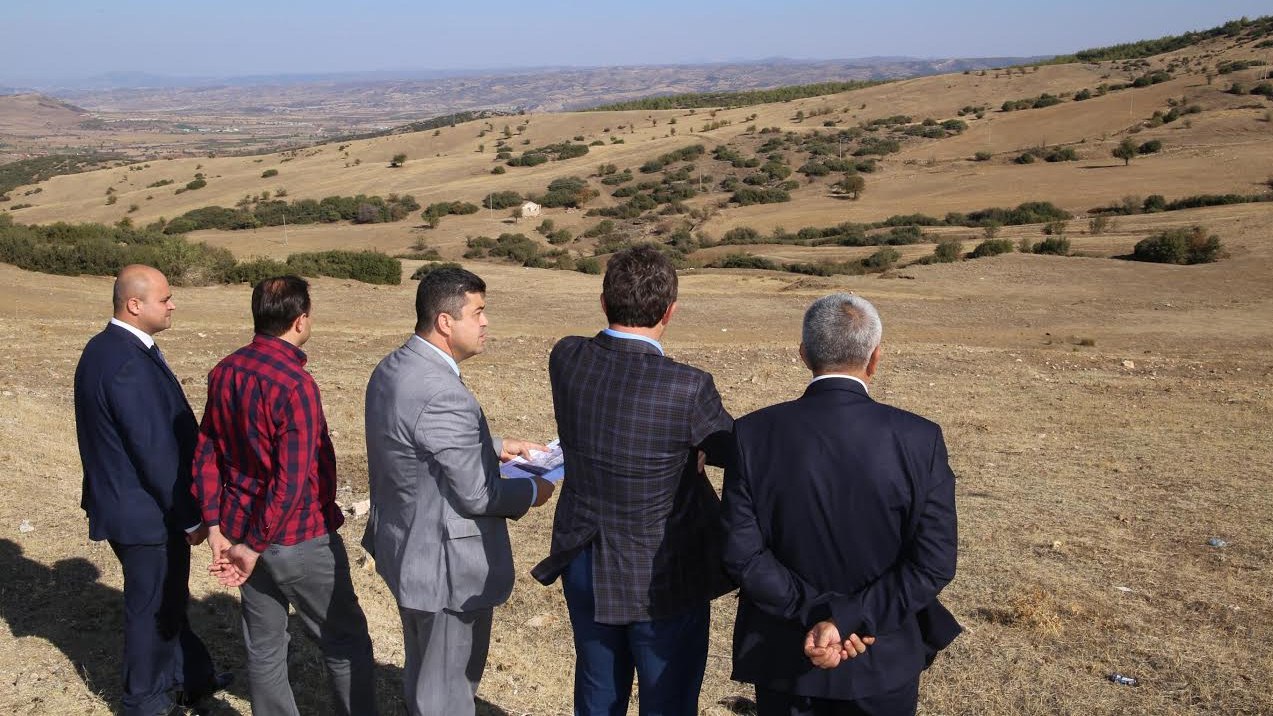 Sokak Hayvanları için Yoğun Mesai