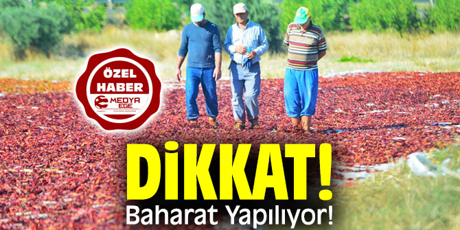 Dikkat: Baharat Yapılıyor!